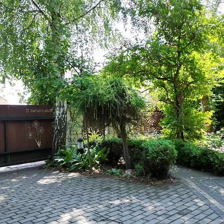 294 W Cieniu Drzew By Bookinghost *